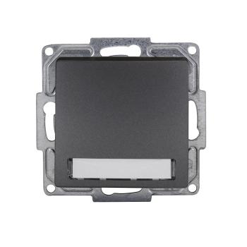 Gunsan Visage Klingeltaster Namensschild und Beleuchtung Dunkelsilber